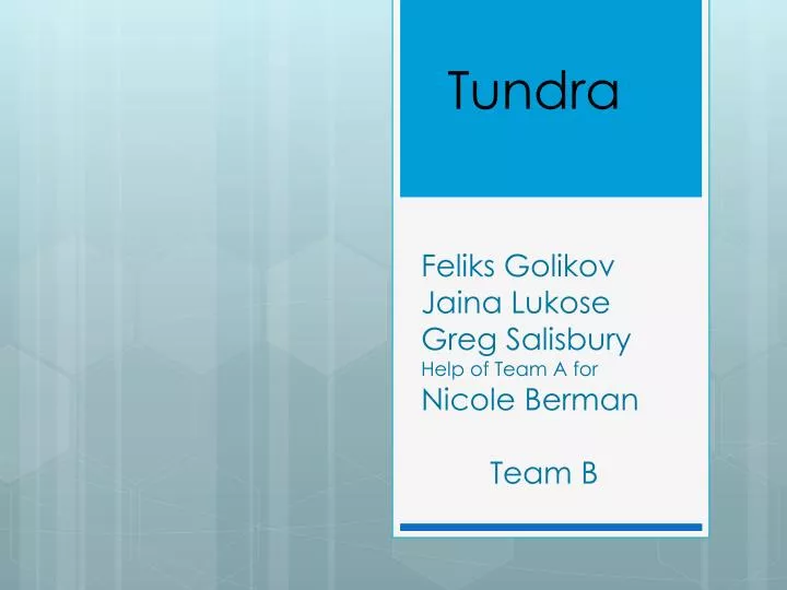 tundra