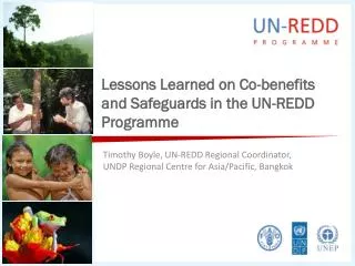 Lessons Learned on Co-benefits and Safeguards in the UN-REDD Programme