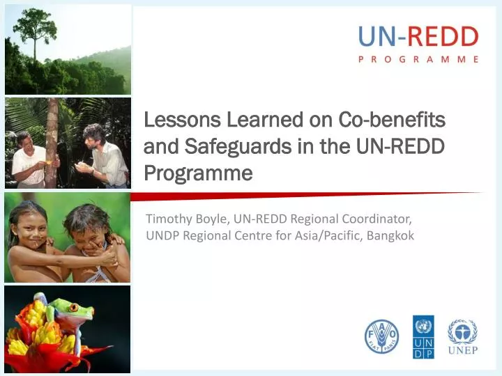 lessons learned on co benefits and safeguards in the un redd programme