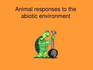 Animal responses to the abiotic environment