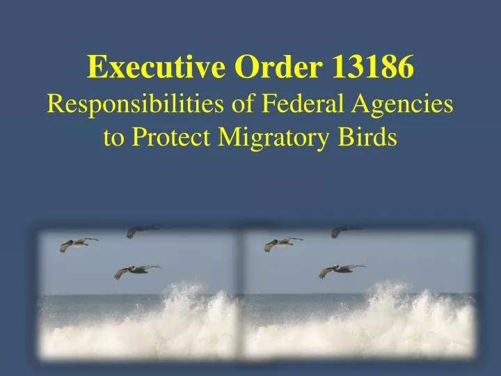 executive order 13186 responsibilities of federal agencies to protect migratory birds