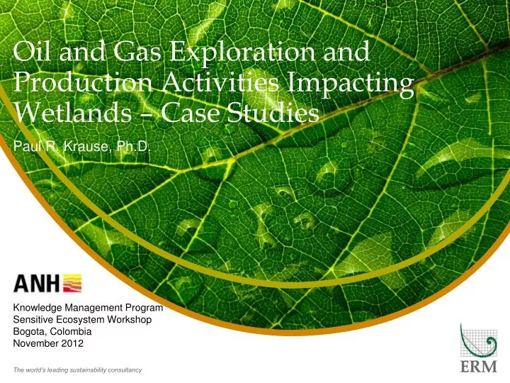 oil and gas exploration and production activities impacting wetlands case studies