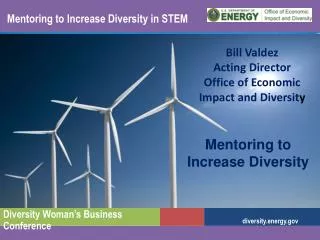 Mentoring to Increase Diversity in STEM