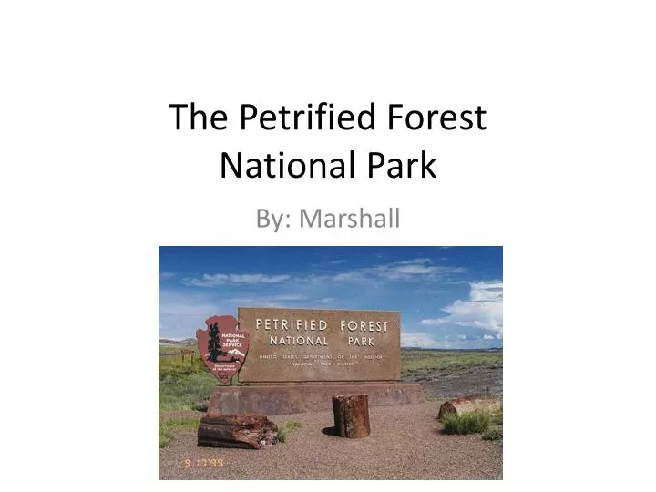 the petrified forest national park