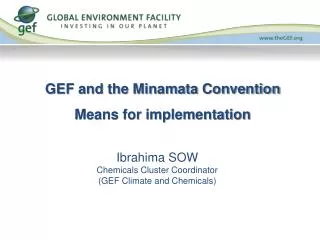 GEF and the Minamata Convention Means for implementation
