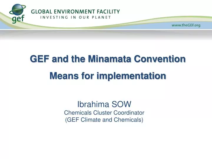 gef and the minamata convention means for implementation