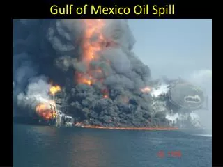 Gulf of Mexico Oil Spill