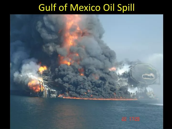 gulf of mexico oil spill
