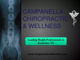 Leading Health Professionals in Rochester, NY- Chiropractors