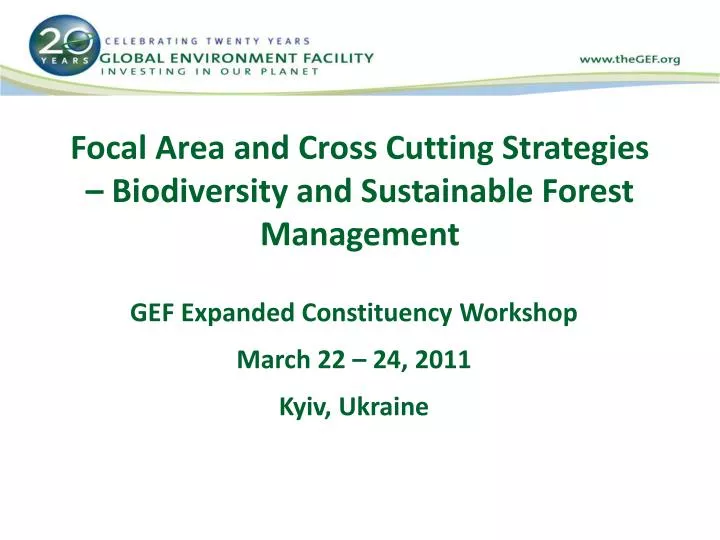 focal area and cross cutting strategies biodiversity and sustainable forest management