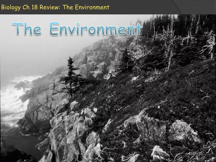 biology ch 18 review the environment