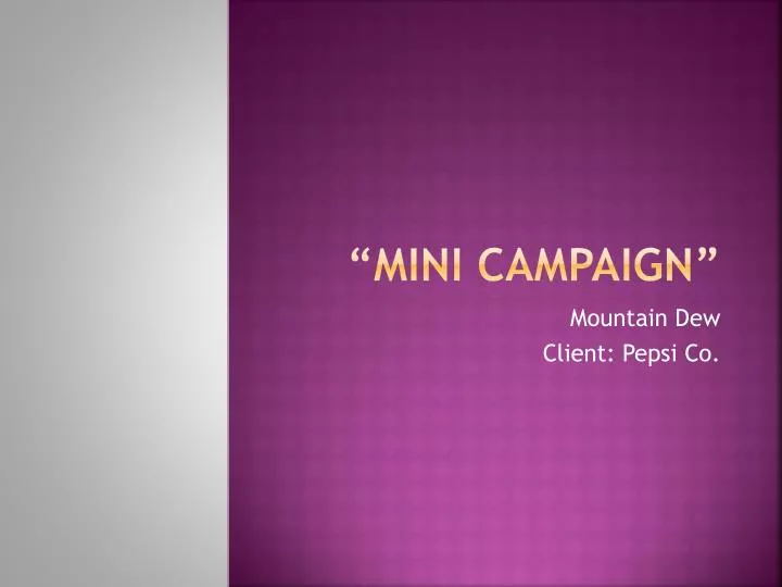 mini campaign