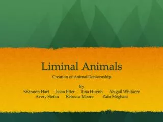 Liminal Animals