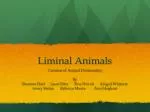 Liminal Animals - slide 1