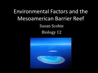 Environmental Factors and the Mesoamerican Barrier Reef