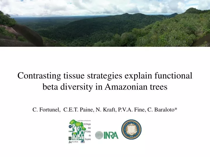 contrasting tissue strategies explain functional beta diversity in amazonian trees