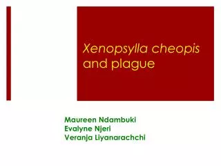 Xenopsylla cheopis and plague