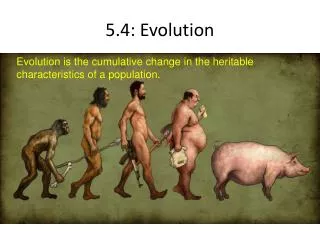 5.4: Evolution