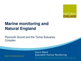 Marine monitoring and Natural England