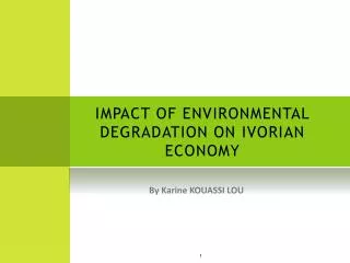 impact of environmental degradation on ivorian economy