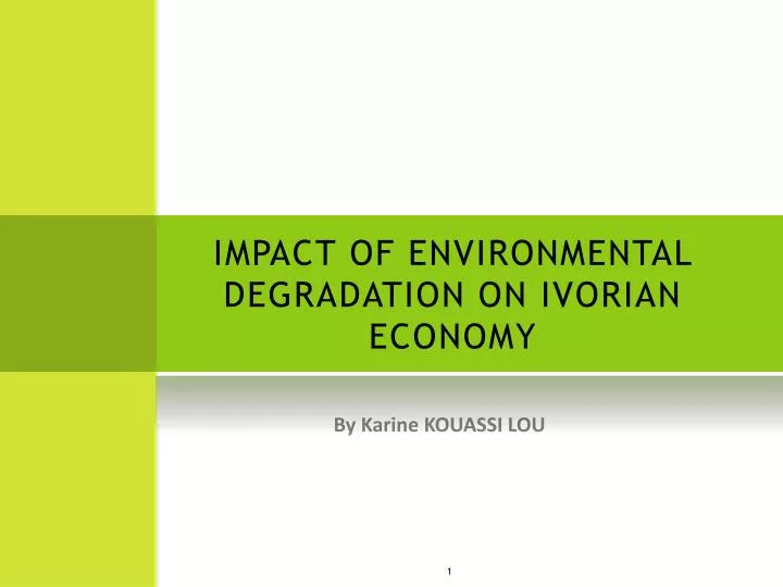 impact of environmental degradation on ivorian economy