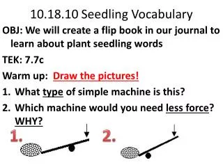 10.18.10 Seedling Vocabulary