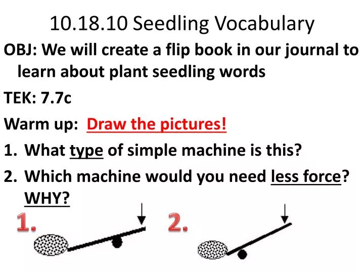 10 18 10 seedling vocabulary