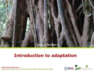 Introduction to adaptation