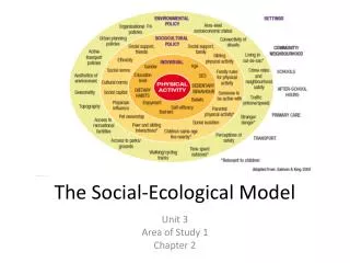 The Social-Ecological Model