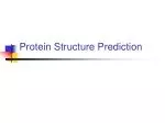Protein Structure Prediction - slide 1