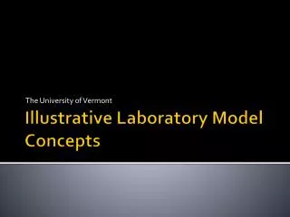 Illustrative Laboratory Model Concepts