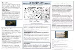 Wild Rice and Zinc-Copper: A Story of Sokaogon Ojibwe Struggle and Success Alyssa Bosold , Gettysburg College,