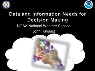 Data and Information Needs for Decision Making
