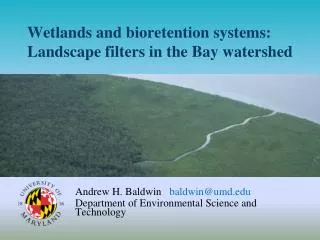 Wetlands and b ioretention systems: Landscape filters in the Bay watershed