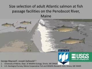 Size selection of adult Atlantic salmon at fish passage facilities on the Penobscot River, Maine