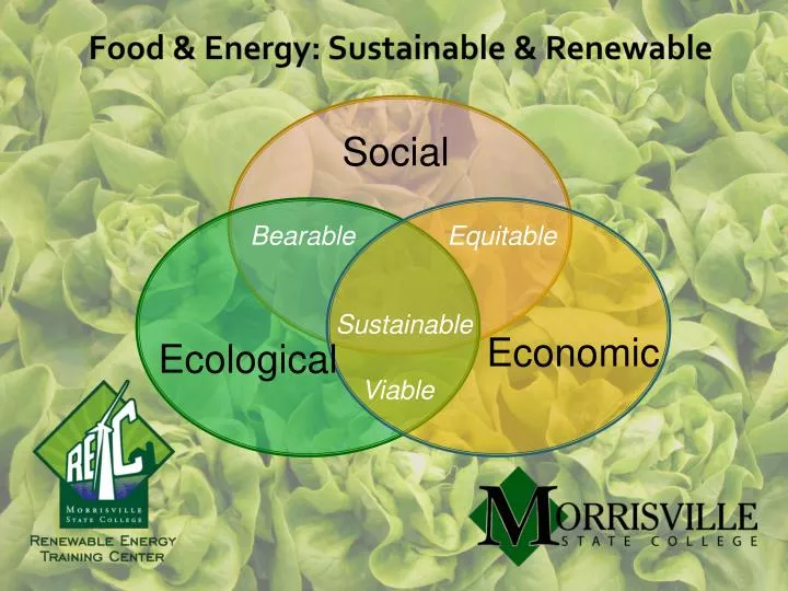 food energy sustainable renewable