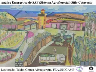 Análise Emergética do SAF (Sistema Agroflorestal) Sítio Catavento