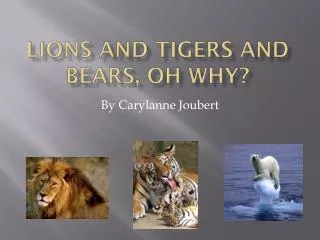 Lions and Tigers and Bears, Oh Why?