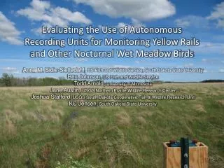 Evaluating the Use of Autonomous Recording Units for Monitoring Yellow Rails and Other Nocturnal Wet Meadow Birds