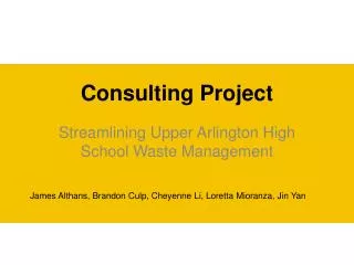Consulting Project