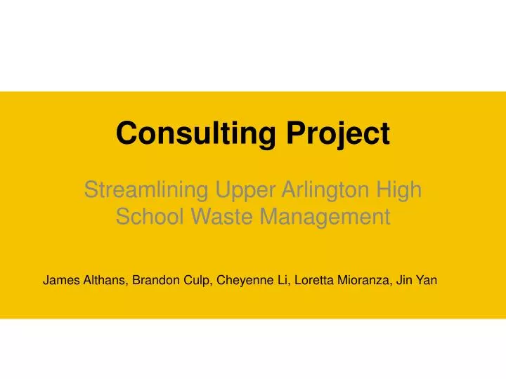 consulting project