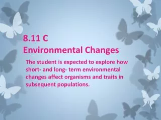 8.11 C Environmental Changes