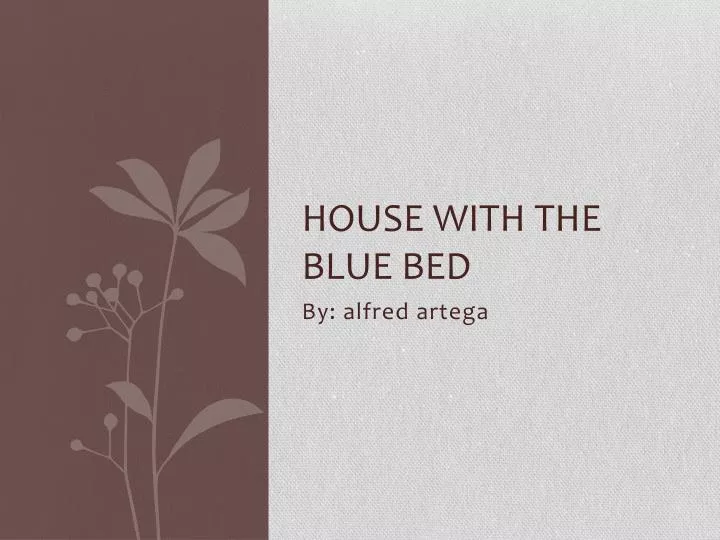 house with the blue bed
