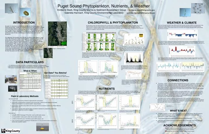 puget sound phytoplankton nutrients weather