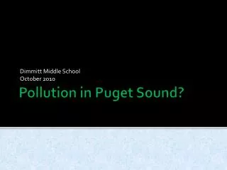 Pollution in Puget Sound?