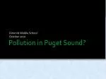 Dimmitt Middle School's Exploration of Pollution Levels in Puget Sound - slide 1