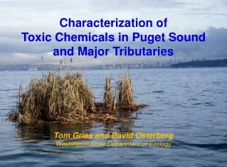 Characterization of Toxic Chemicals in Puget Sound and Major Tributaries
