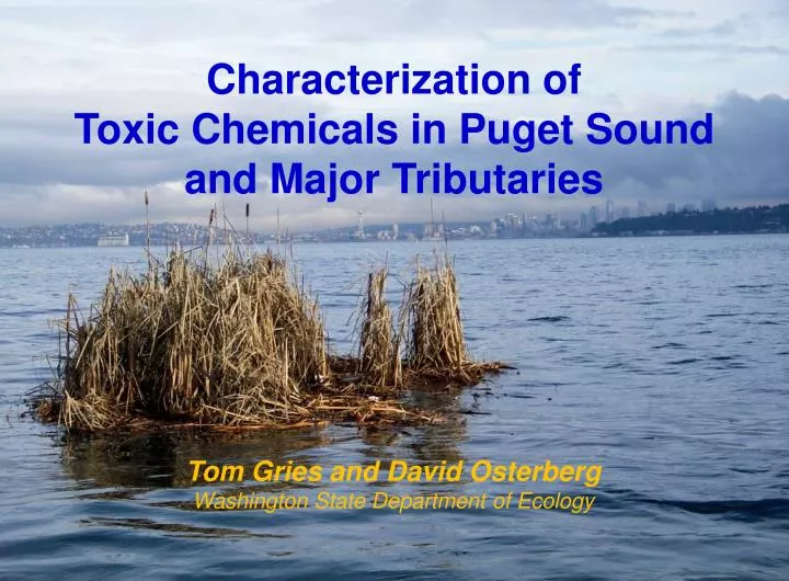 characterization of toxic chemicals in puget sound and major tributaries