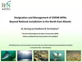 Designation and Management of OSPAR MPAs Beyond National Jurisdiction in the North-East Atlantic