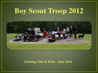 Boy Scout Troop 2012